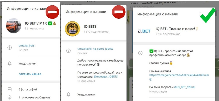 Отзывы про IQ BET только в плюс!