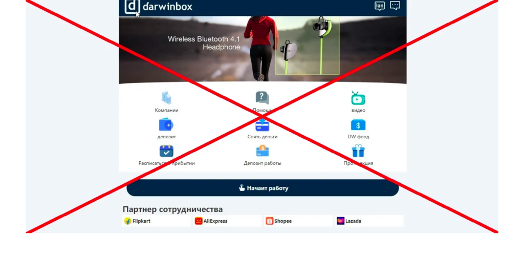 Darwin Box отзывы, обманывают или нет? Честный обзор!