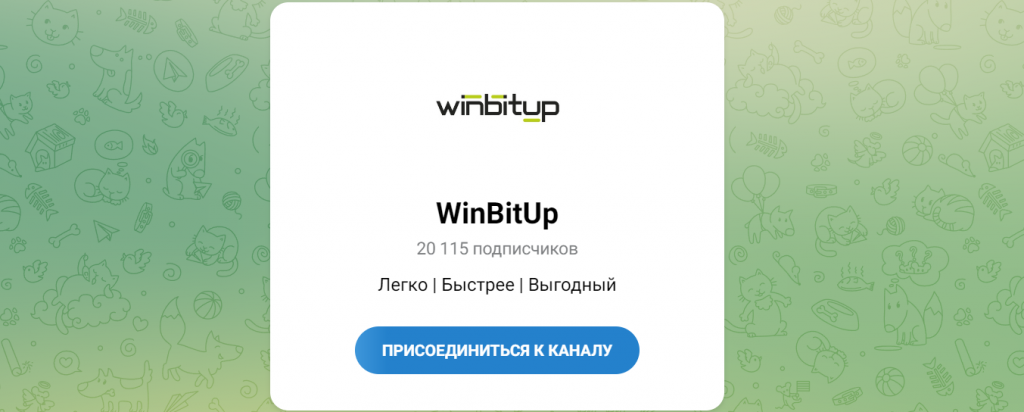 Winbitup com отзывы и честный обзор!