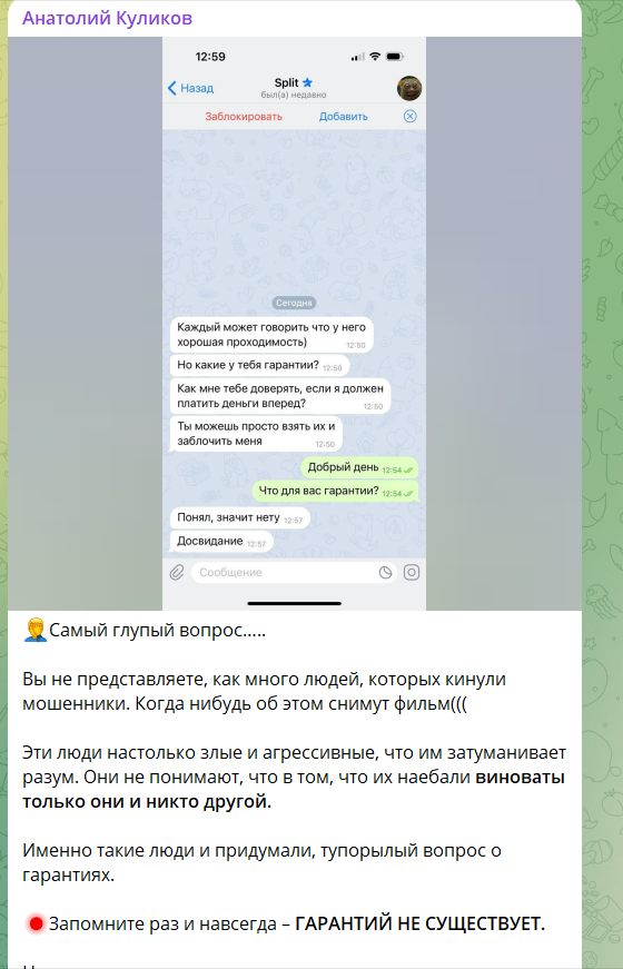 Реально ли заработать с каналом «Анатолий Куликов»? Проверка и отзывы