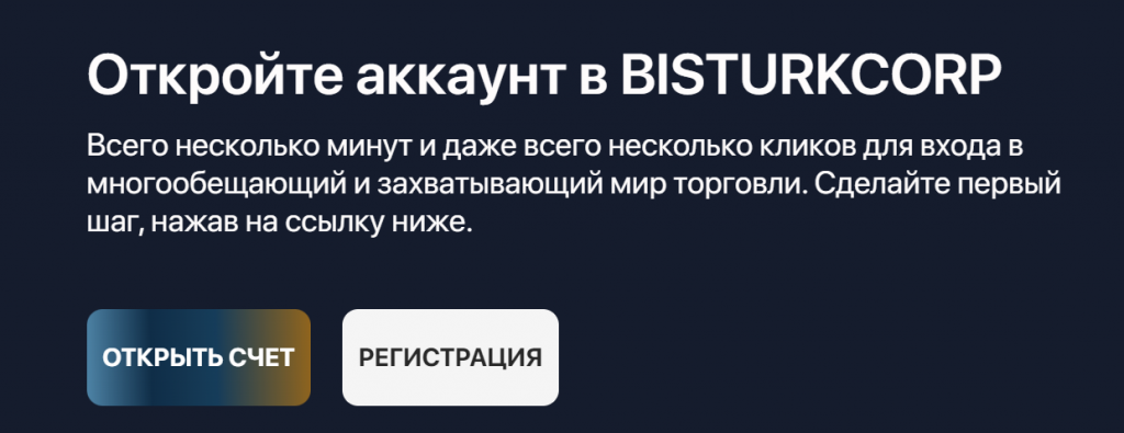 Проверяем BISTURKCORP. Мошенники или нет?