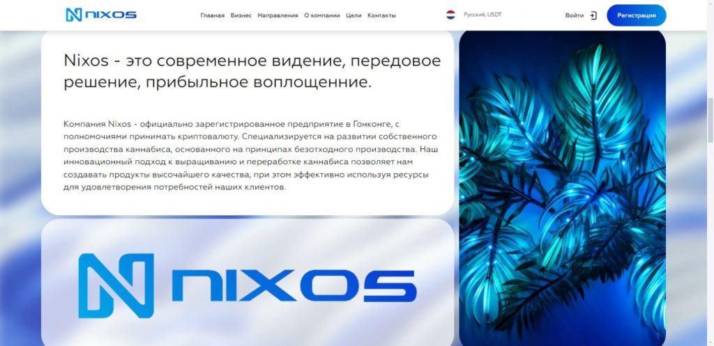 Nixos group отзывы и честный обзор!