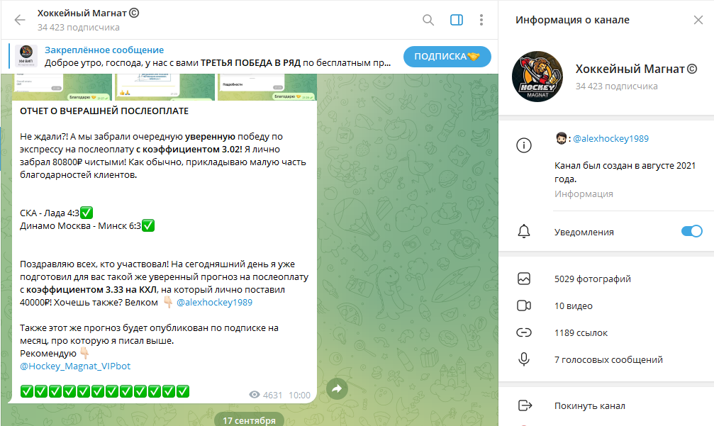 Телеграм канал Хоккейный Магнат детальный обзор, отзывы и жалобы