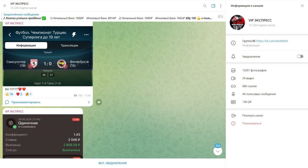 Телеграм канал VIP ЭКСПРЕСС — отзывы подписчиков и обзор