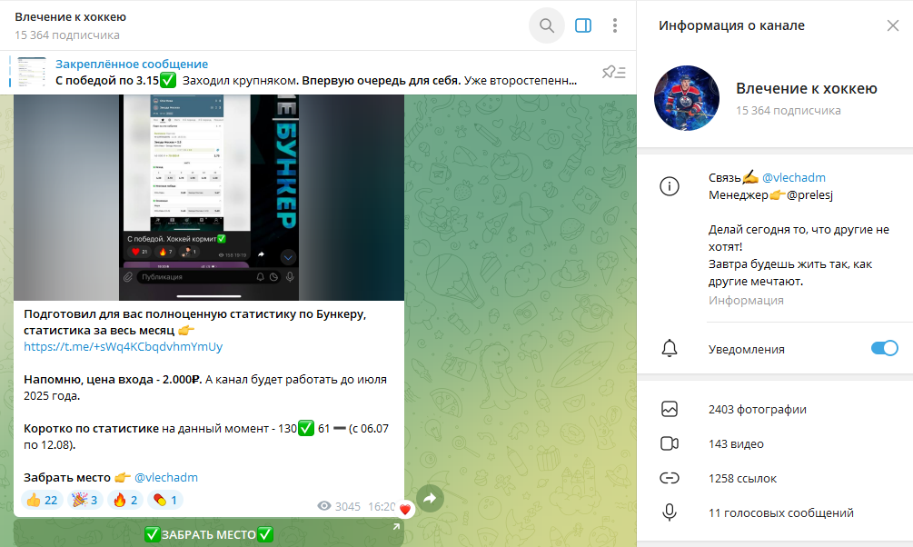 Телеграм канал Влечение к хоккею обзор, реальные отзывы о паблике