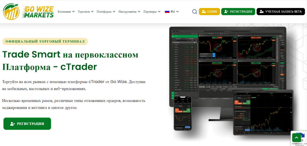 Брокер Go Wize Markets полный обзор, проверка, отзывы клиентов