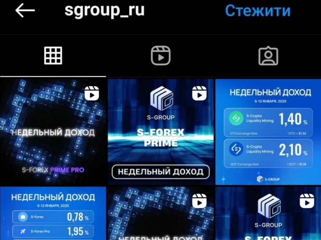 Действительно ли поможет финансовая пирамида S-Group вернуть и заработать деньги или нет? Проверка и отзывы