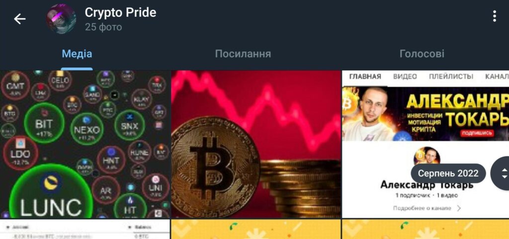 Как обманывает @Elena_criptobiz, Crypto Pride? Отзывы и глубокая проверка