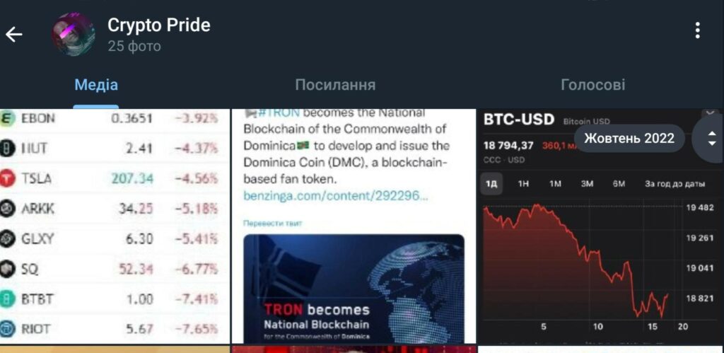 Как обманывает @Elena_criptobiz, Crypto Pride? Отзывы и глубокая проверка