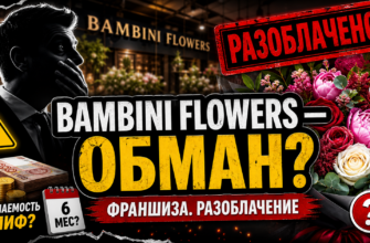 Изучите риски и настоящую прибыль франшизы Bambini Flowers. Узнайте, как избежать мошенничества в цветочном бизнесе!